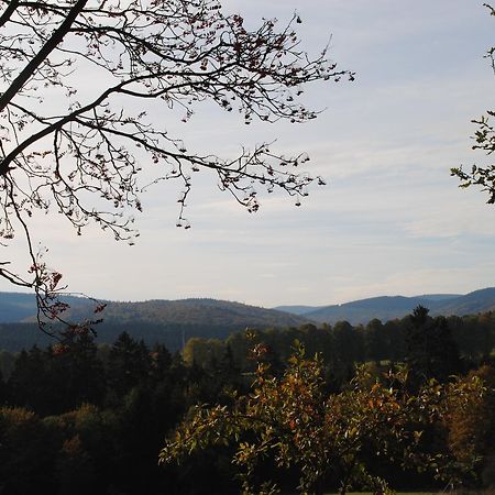 Landgasthof Gruss 布里隆 外观 照片