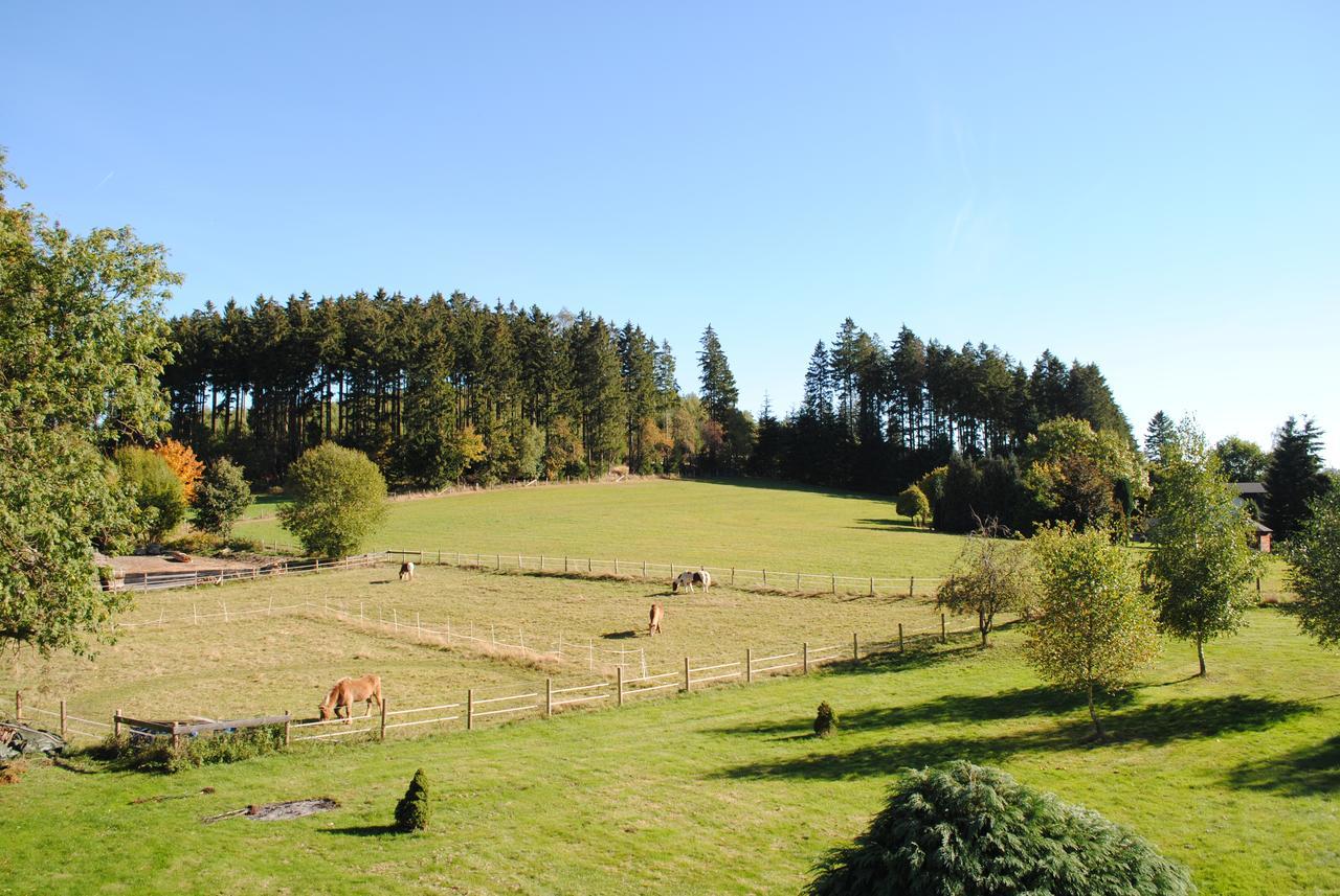 Landgasthof Gruss 布里隆 外观 照片