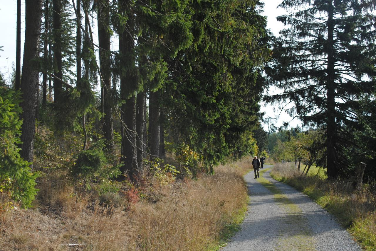 Landgasthof Gruss 布里隆 外观 照片