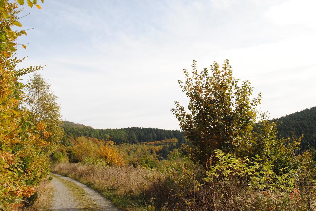 Landgasthof Gruss 布里隆 外观 照片