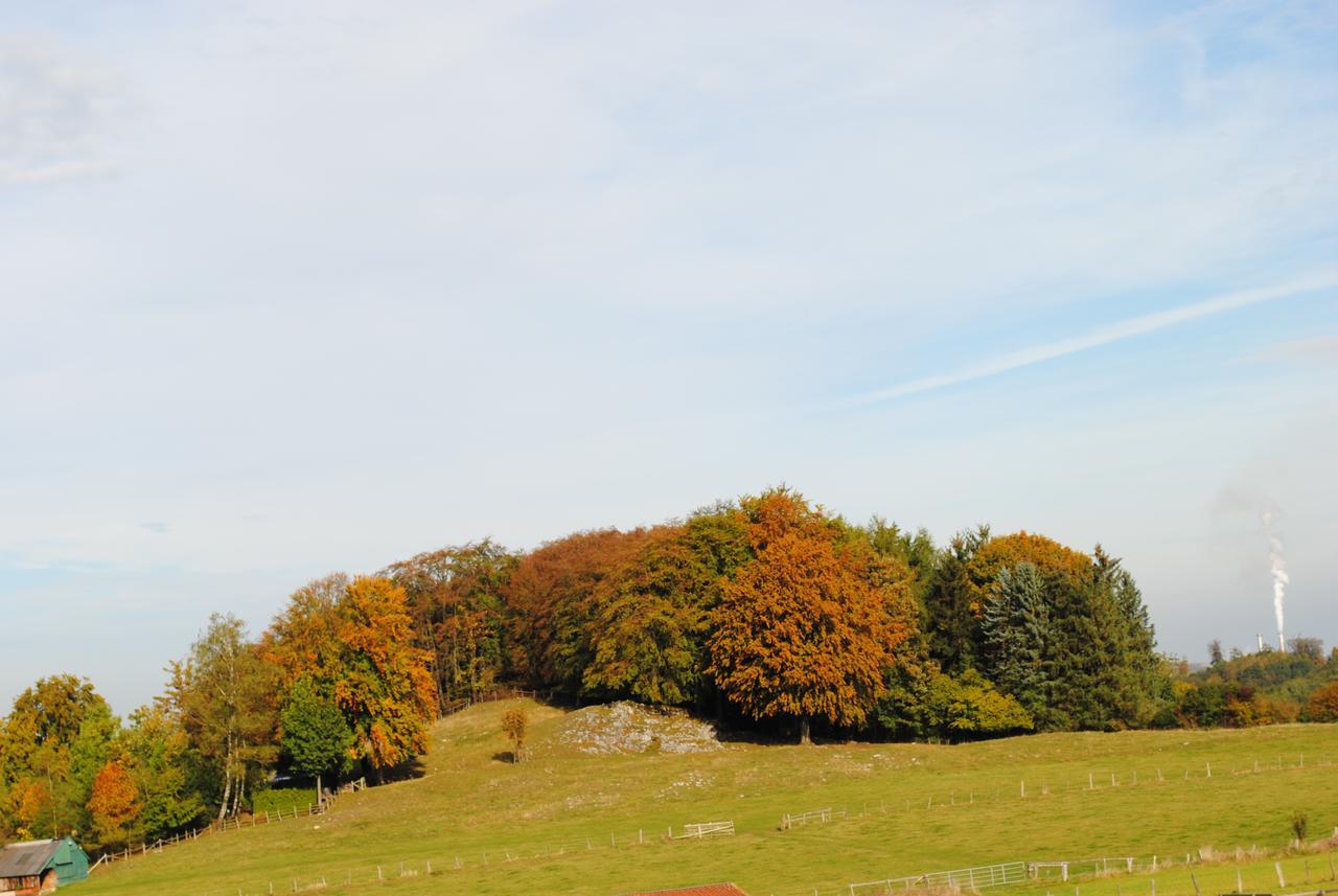 Landgasthof Gruss 布里隆 外观 照片